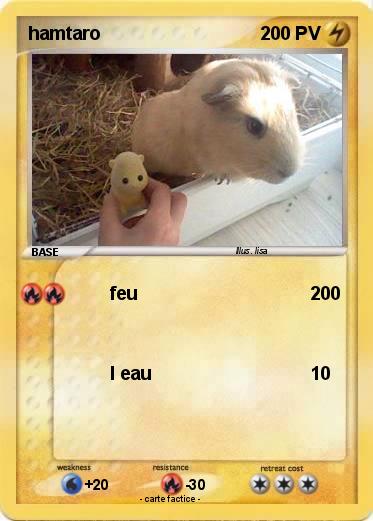 Pokemon hamtaro