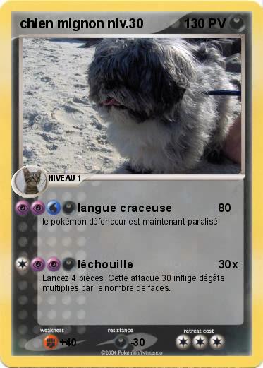 Pokemon chien mignon niv.30