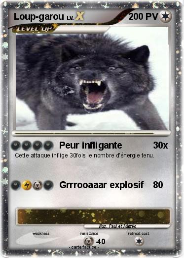 Pokemon Loup-garou