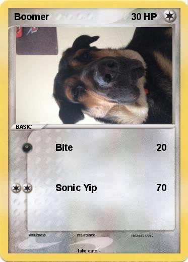 Pokemon Boomer