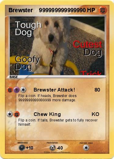 Pokemon Brewster    9999999999999