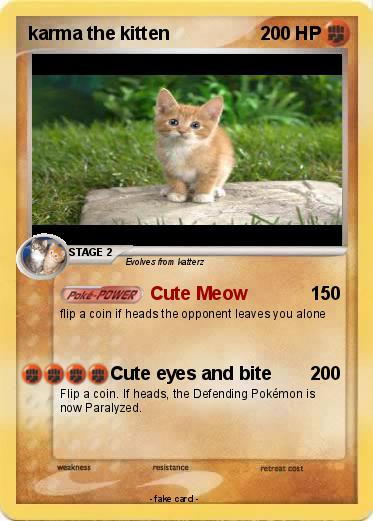 Pokemon karma the kitten