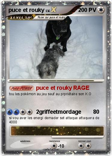 Pokemon puce et rouky