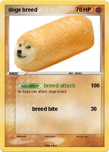 Pokemon doge breed