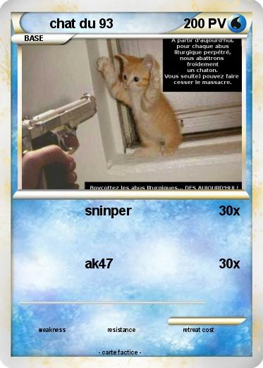 Pokemon chat du 93