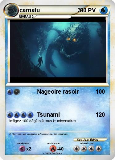 Pokemon carnatu                        3