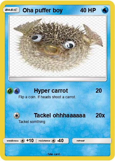 Pokemon Oha puffer boy