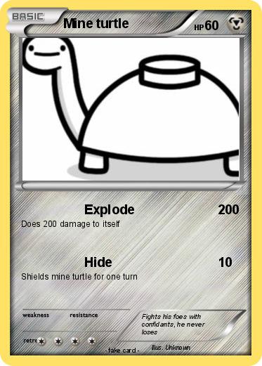 Pokemon Mine turtle