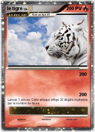 Pokemon le tigre