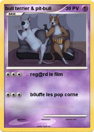 Pokemon bull terrier & pit-bull