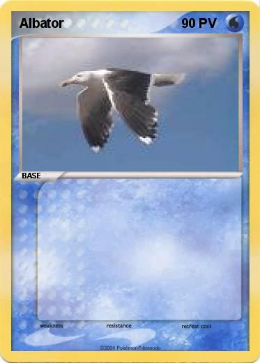 Pokemon Albator