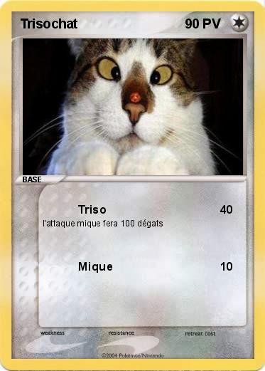 Pokemon Trisochat
