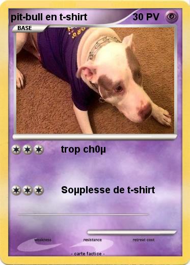 Pokemon pit-bull en t-shirt