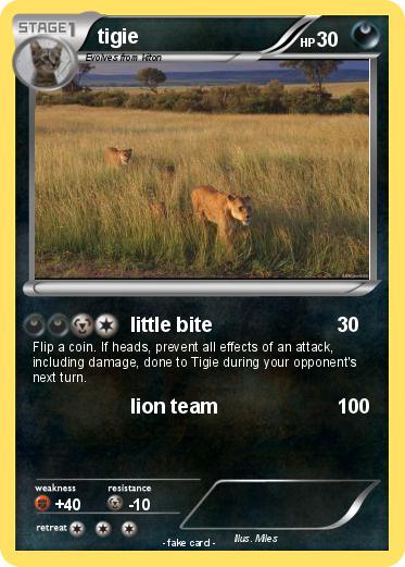 Pokemon tigie