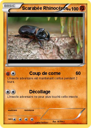 Pokemon Scarabée Rhinocéros