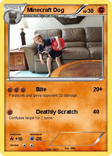 Pokemon Minecraft Dog