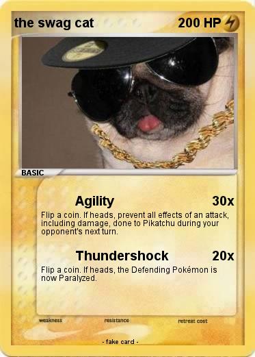 Pokemon the swag cat