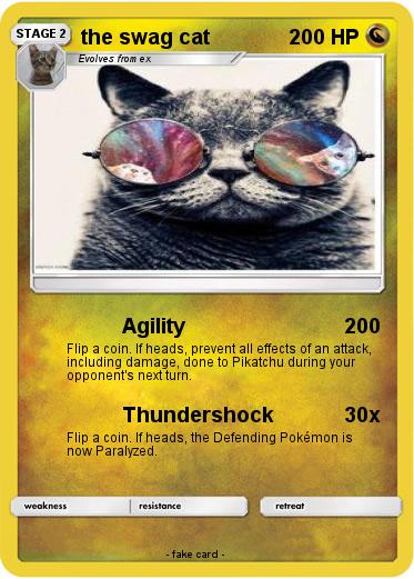 Pokemon the swag cat