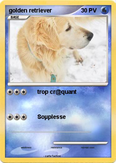 Pokemon golden retriever