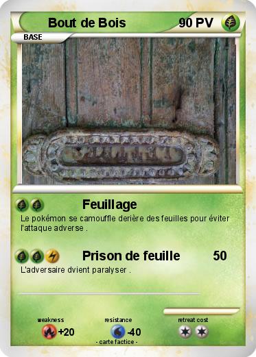 Pokemon Bout de Bois