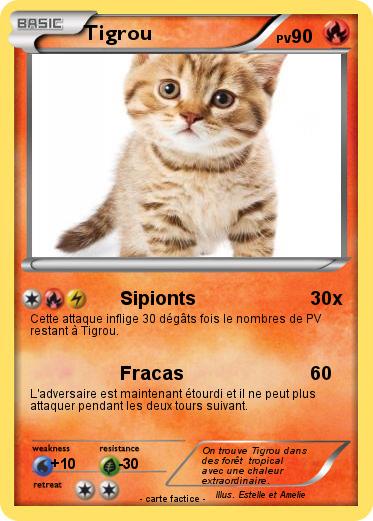 Pokemon Tigrou