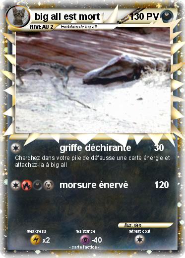 Pokemon big all est mort