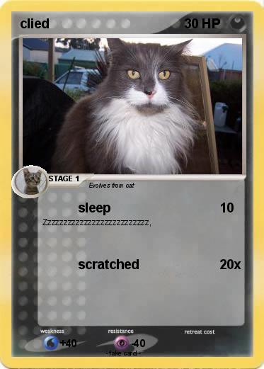Pokemon clied
