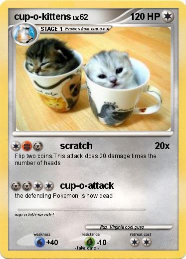 Pokemon cup-o-kittens