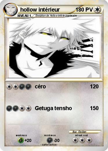 Pokemon hollow intérieur