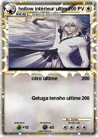Pokemon hollow intérieur ultime