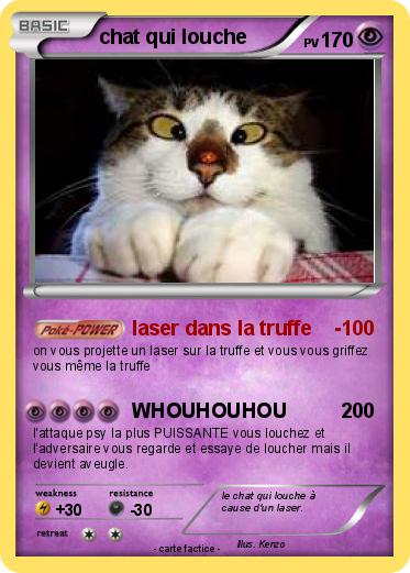 Pokemon chat qui louche