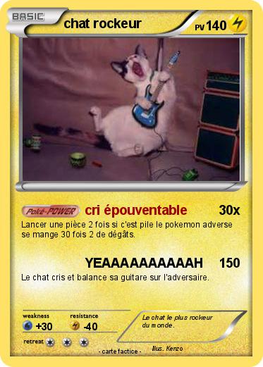 Pokemon chat rockeur