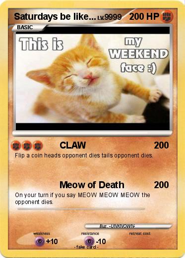 Pokemon Saturdays be like...