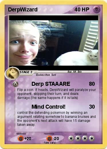 Pokemon DerpWizard
