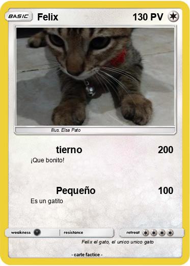 Pokemon Felix