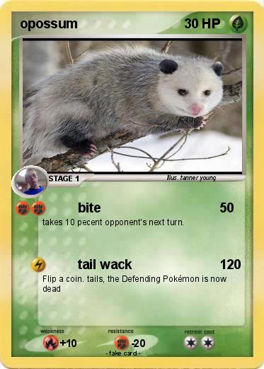Pokemon opossum