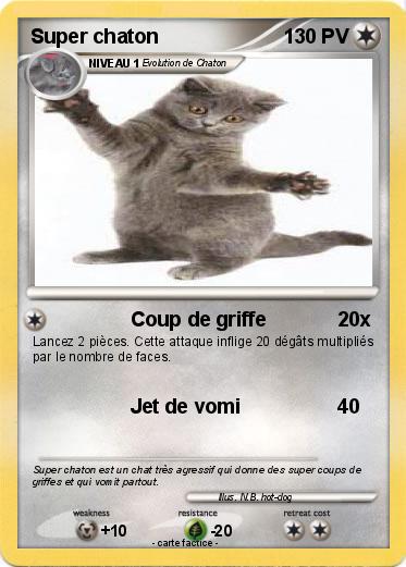 Pokemon Super chaton