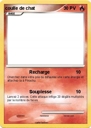 Pokemon coulle de chat