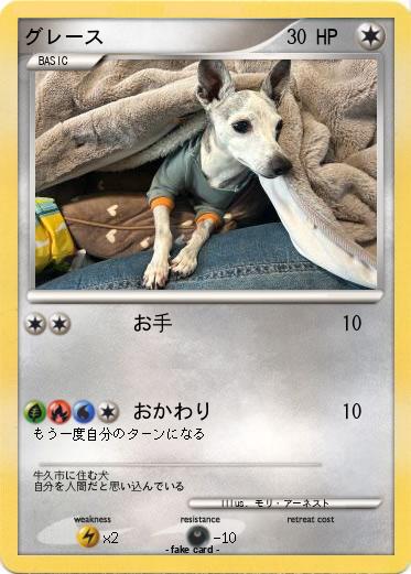 Pokemon グレース