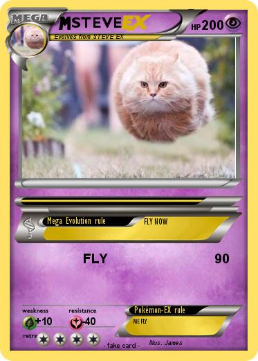 Pokemon STEVE