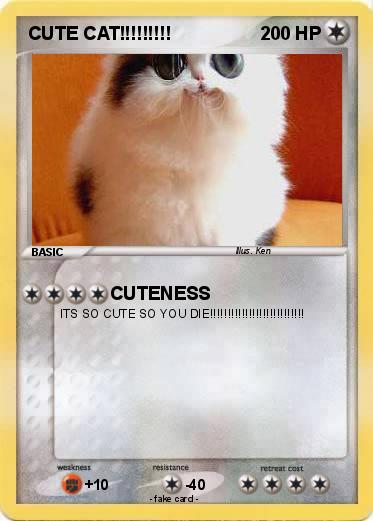 Pokemon CUTE CAT!!!!!!!!!