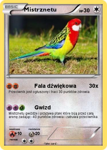 Pokemon Mistrznetu