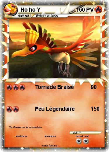 Pokemon Ho ho Y