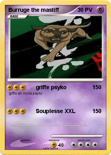 Pokemon Burruge the mastiff