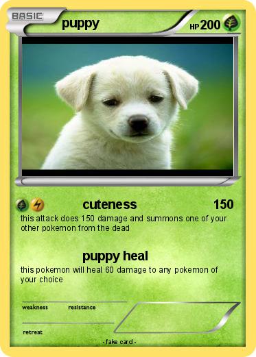 Pokemon puppy