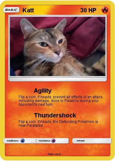 Pokemon Katt