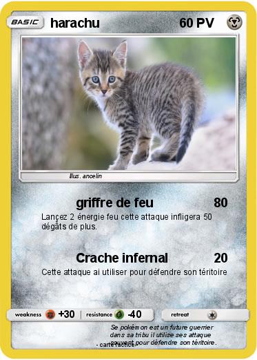 Pokemon harachu