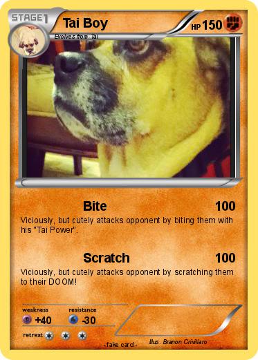 Pokemon Tai Boy