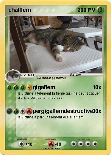Pokemon chatflem