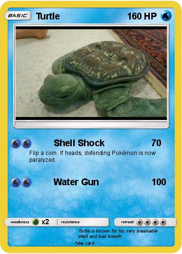 Pokemon Turtle